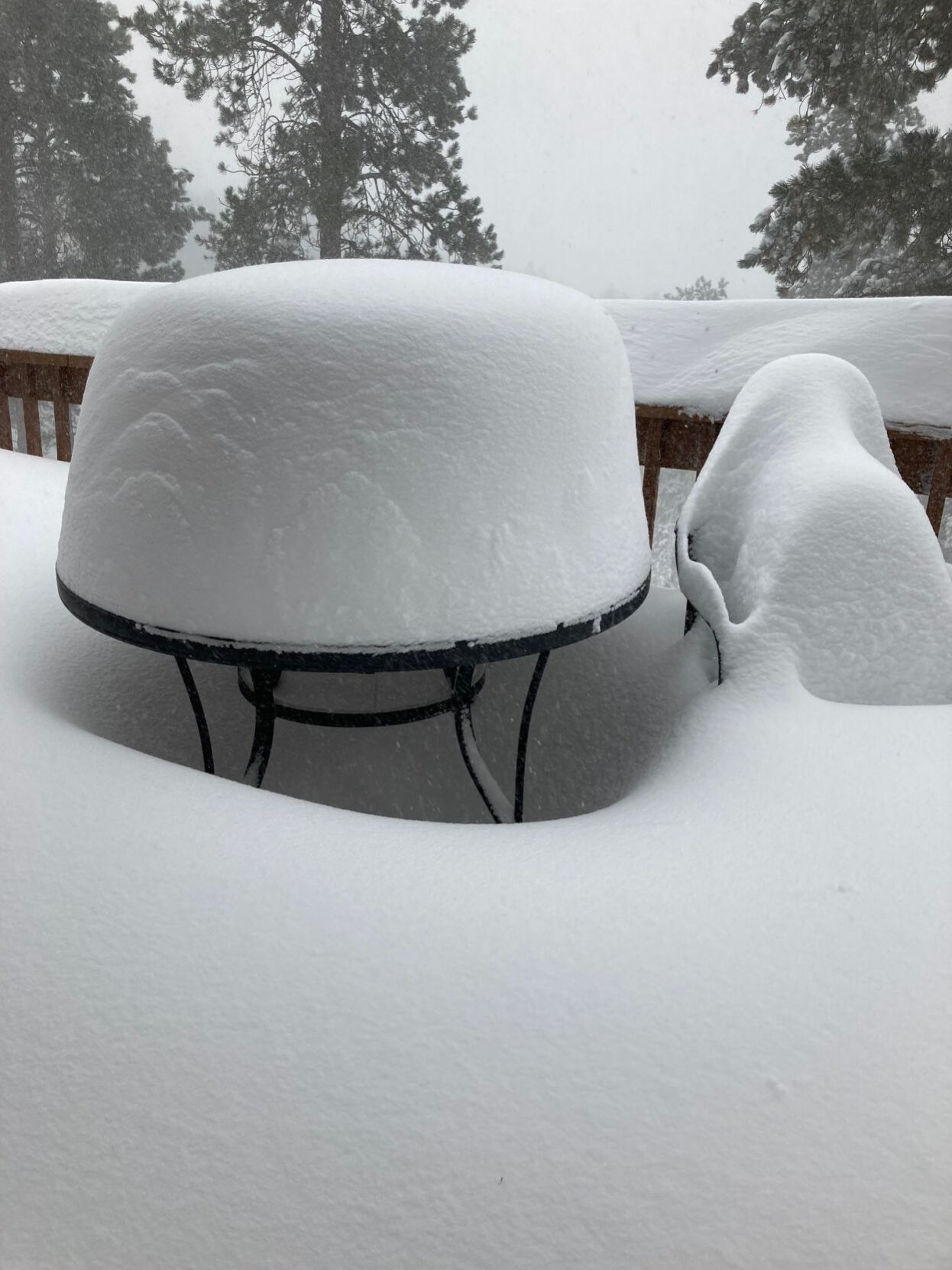 Deadwood snow